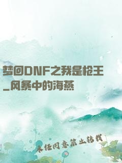 梦回DNF之我是枪王