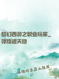 梦幻西游之职业玩家