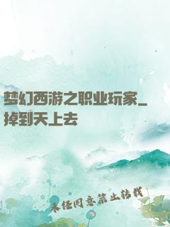 梦幻西游之职业玩家