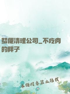 梦魇清理公司