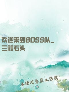 欢迎来到BOSS队
