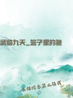 武临九天