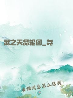 武之天晶轮回