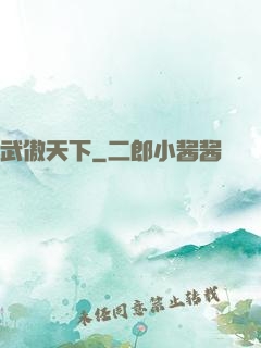 武傲天下
