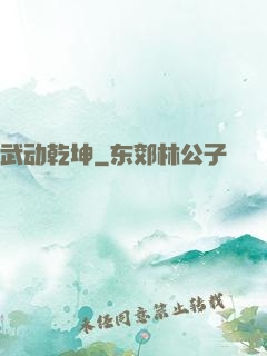 武动乾坤