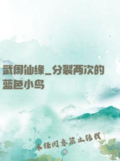 武周仙缘