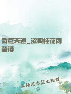 武尽天途