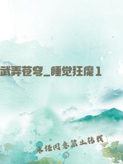 武弄苍穹