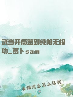 武当开局签到纯阳无极功
