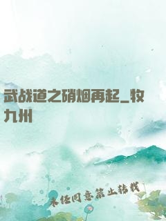 武战道之硝烟再起