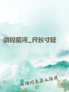 武控星河