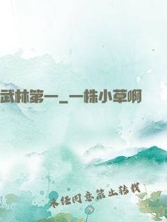 武林第一