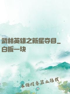 武林英雄之新星夺目