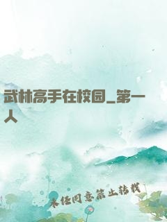 武林高手在校园