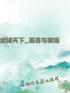 武破天下