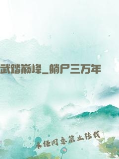 武踏巅峰
