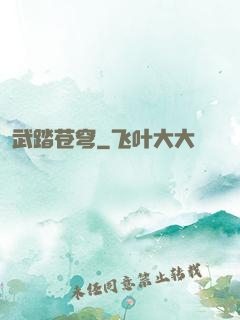 武踏苍穹