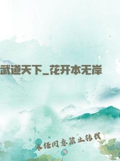 武道天下