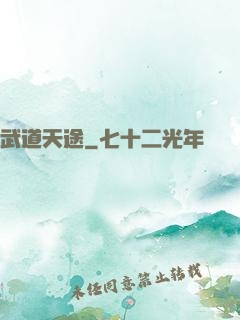 武道天途