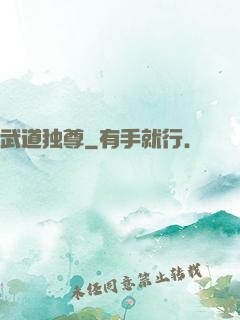 武道独尊