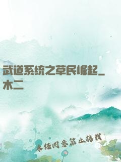 武道系统之草民崛起