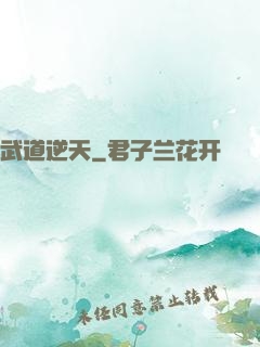 武道逆天
