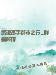 武道高手都市之行