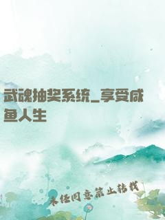 武魂抽奖系统