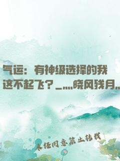 气运：有神级选择的我这不起飞？