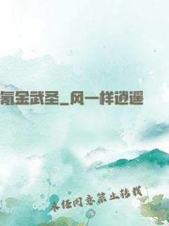 氪金武圣
