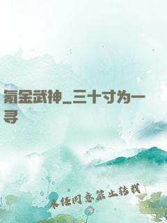 氪金武神