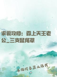 求爱攻略：霸上天王老公