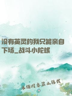 没有英灵的我只能亲自下场