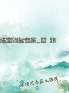 法宝修复专家