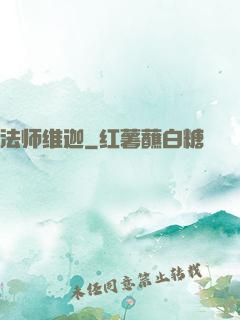 法师维迦