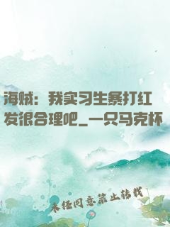 海贼：我实习生暴打红发很合理吧