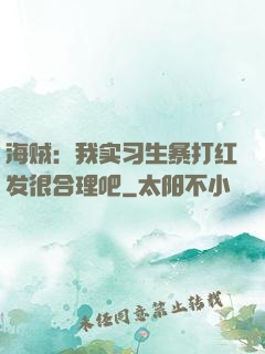 海贼：我实习生暴打红发很合理吧