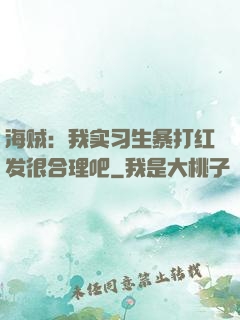 海贼：我实习生暴打红发很合理吧