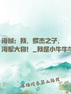 海贼：我，罗杰之子，海军大将！