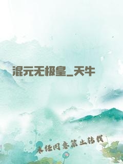 混元无极皇