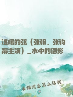 温暖的弦（张翰、张钧甯主演）