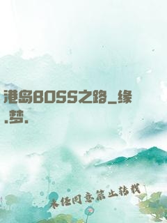 港岛BOSS之路