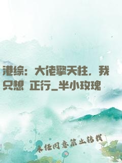 港综：大佬擎天柱，我只想揾正行