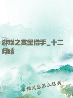 游戏之赏金猎手