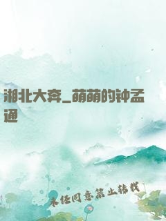 湘北大奔