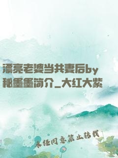 漂亮老婆当共妻后by秘墨墨简介