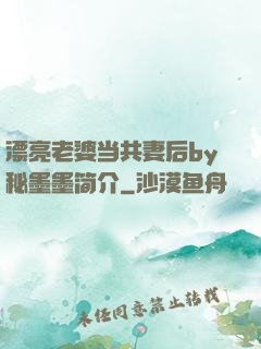 漂亮老婆当共妻后by秘墨墨简介