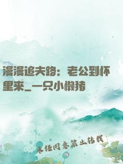 漫漫追夫路：老公到怀里来