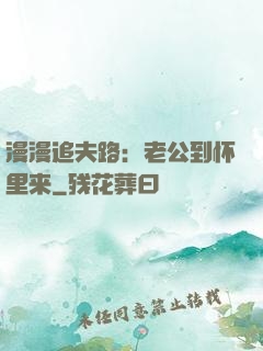 漫漫追夫路：老公到怀里来