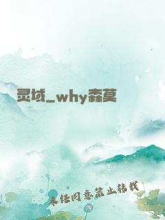 灵域